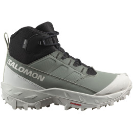 Damenschuhe Salomon Crosstrak Waterproof