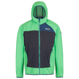 Herrenjacke Regatta Carpo Hybrid grün Fairway/Slger