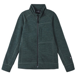 Kinder-Sweatshirt Reima Mahti grün Thyme Green