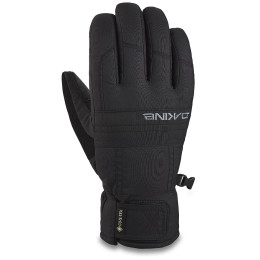 Handschuhe Dakine Bronco Gore-Tex Glove (2021) schwarz Black