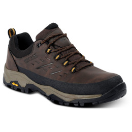 Herrenschuhe Regatta Blake Low