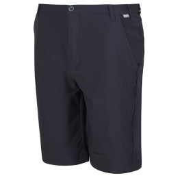 Herrenshorts Regatta Highton ShortLong dunkelgrau India Grey