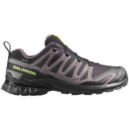 Wanderschuhe Salomon Xa Pro 3D V9 Gore-Tex