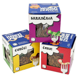 Essbare Würmer Sens Knusprige Insekten-Challenge – Gourmet-Partyspiel