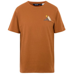 Herren T-Shirt Regatta Cline IX