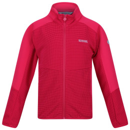 Kinder-Sweatshirt Regatta Jnr Highton FZ II rosa Pink Potion