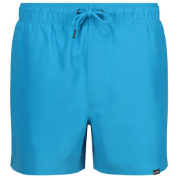 Herrenshorts Regatta Mawson SwShortIII hellblau Fluro Blue