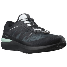 Herrenschuhe Salomon Sonic 4 Gore-Tex schwarz Black