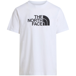 Herren-T-Shirt The North Face Evolution Half Dome Regular Short Slee