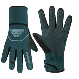 Handschuhe Dynafit Mercury Dst Gloves