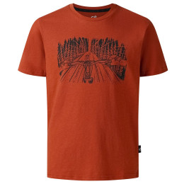 Kinder-T-Shirt Dare 2b Trailbazer III Tee Arabian Spice braun ArabianSpice