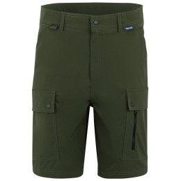Herrenshorts Regatta Arlery Shorts dunkelgrün Dark Khaki