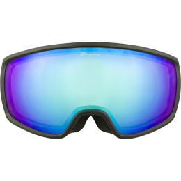 Skibrille Alpina Double Jack Q Lite