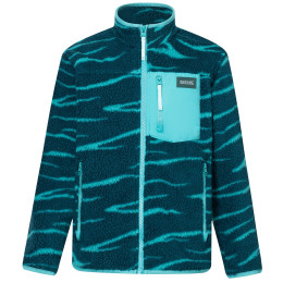 Kinder-Funktions-Sweatshirt Regatta Junior Frankie Warm Fleece Mediterranea Zebra grün Mediterranea Zebra