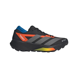 Wanderschuhe Adidas Terrex Agravic Gtx 2