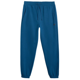 Herrenhose 4F Trousers Cas M1139