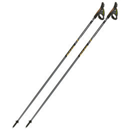 Nordic Walking Stöcke Fizan NW Runner Gold