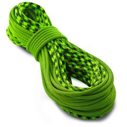 Kletterseil Tendon Ambition 9,8 mm (80 m) STD Bi grün/schwarz Green/Black