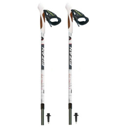 Stöcke Fizan NW Fitness grau/schwarz