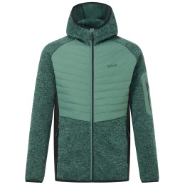 Herren-Hybridjacke Regatta Newhill Hybrid grün/schwarz DkFrstGr/Blk