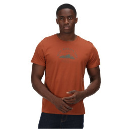 Herren-T-Shirt Regatta Cline VI orange Gingerbread