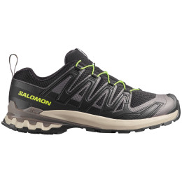 Herrenschuhe Salomon Xa Pro 3D V9