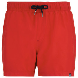 Herrenbadeanzug Regatta Mawson Swim Shorts III