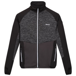 Herren-Sweatshirt Regatta Coladane V grau/schwarz Ash/Black