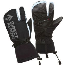 Handschuhe Direct Alpine Wallis 1.0 schwarz Black