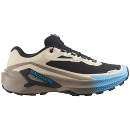 Herren Laufschuhe Salomon Genesis 2 GTX