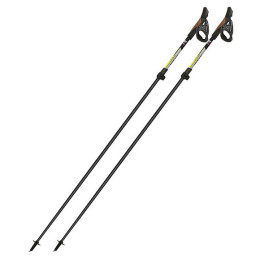 Nordic Walking Stöcke Fizan Tekno