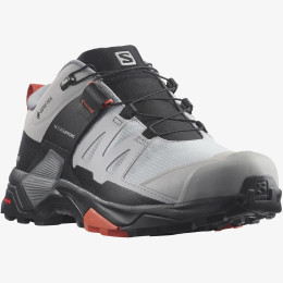 Damenschuhe Salomon X Ultra 4 Wide Gore-Tex grau/schwarz Alloy / Quiet Shade / Burnt Sienna