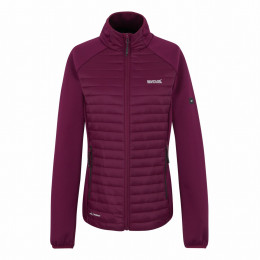 Damenjacke Regatta Women’s Clumber Hybrid weinfarbe Dark Pimento