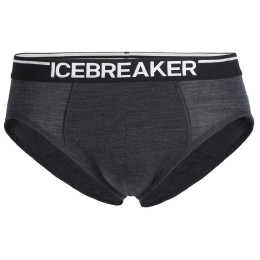 Herrenslips Icebreaker Mens Anatomica Briefs schwarz/weiß JetHthr/Black