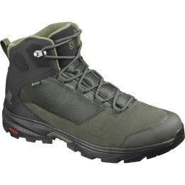 Herrenschuhe Salomon Outward Gtx schwarz/grün Peat