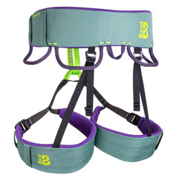 Klettergurt Beal Trinity grün Green
