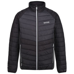 Herrenjacke Regatta Halton IV schwarz black/ash