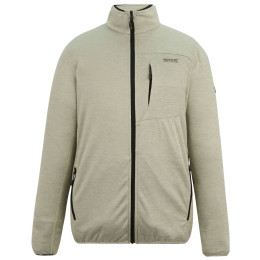 Herren-Sweatshirt Regatta Hillden Midlayer beige Abbeystone