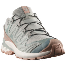 Damenschuhe Salomon Xa Pro 3D V9 Gore-Tex Lifelong