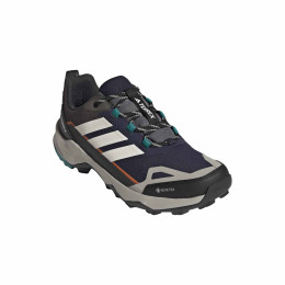 Wanderschuhe Adidas Terrex Skychaser Ax5 Gtx