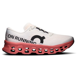 Herren Laufschuhe On Running Cloudmonster 3