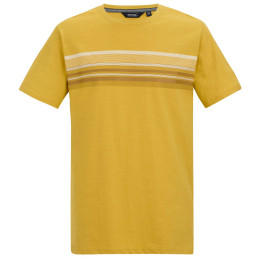 Herren-T-Shirt Regatta Rendro gelb CeylonYellow