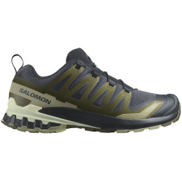 Herrenschuhe Salomon Xa Pro 3D V9 grün India Ink / Olive Night / Aloe Wash