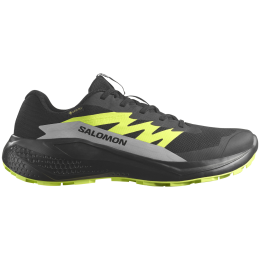 Herren Laufschuhe Salomon Alphaglide Gore-Tex