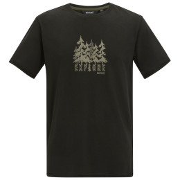 Herren T-Shirt Regatta Cline IX schwarz BlkExplFrst