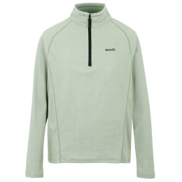 Herren-Sweatshirt Regatta Montes M