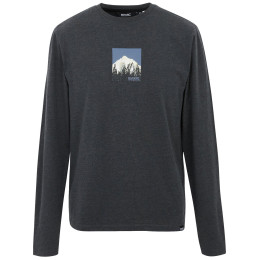 Herren-T-Shirt Regatta Maylow schwarz black