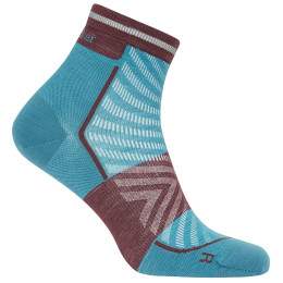 Herrensocken Icebreaker Men Merino Run+ Ultralight Mini
