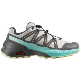 Damenschuhe Salomon Speedcross Peak grau/blau Icicle / Castlerock / Aruba Blue