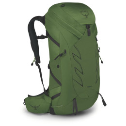 Wanderrucksack Osprey Talon 36 schwarz/grün green belt/black